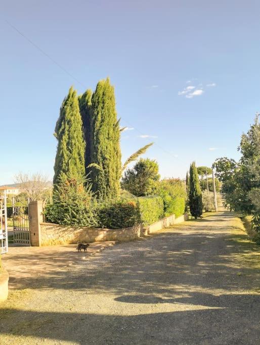 Villetta Rio, Large Private Garden Cecina  Exterior foto